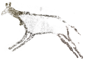(11) Cérvola