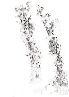 (17) Quadrúpede – potes