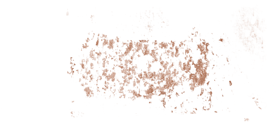 (20) Bòvid