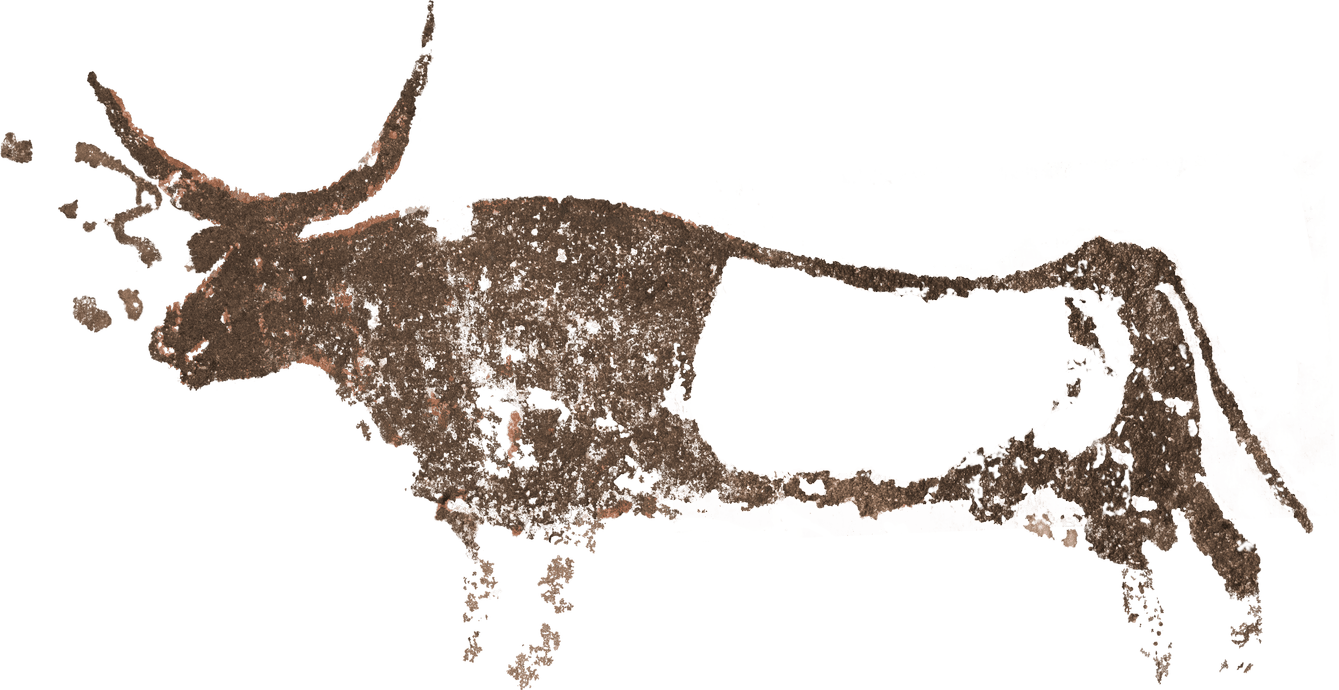 (20) Bòvid