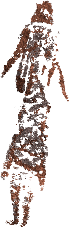 (35,36) Dones