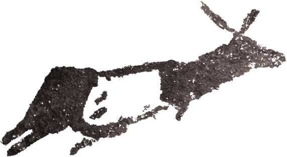 (39) Cérvola