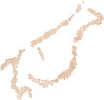 (40) Quadrúpede