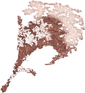 (45) Quadrúpede
