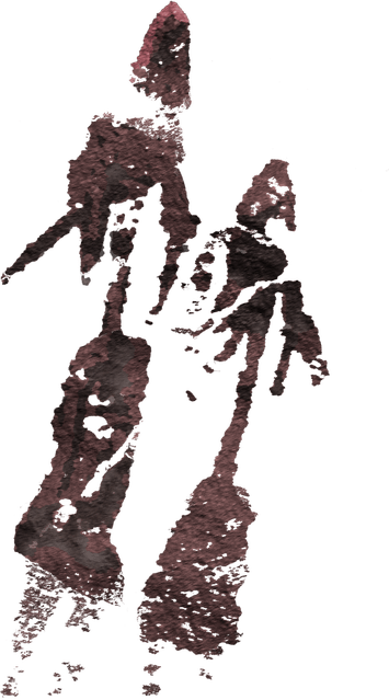 (46,47) Dones