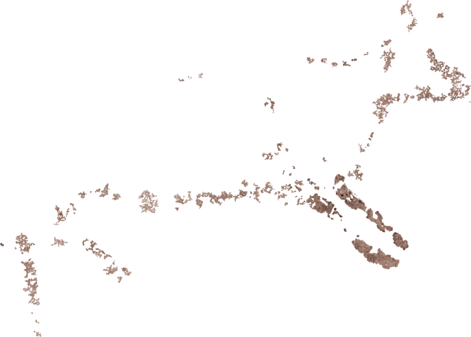 (9) Bòvid